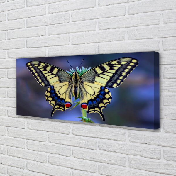 Tablouri canvas Fluture pe o floare