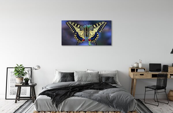 Tablouri canvas Fluture pe o floare