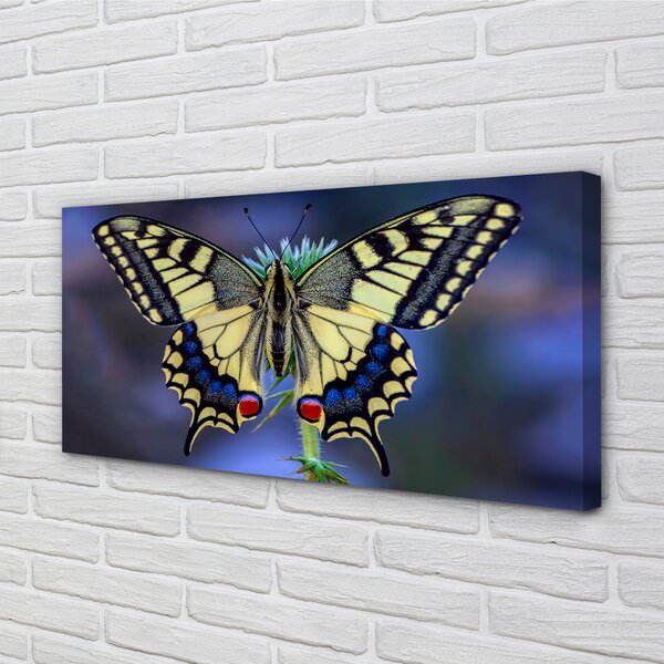 Tablouri canvas Fluture pe o floare