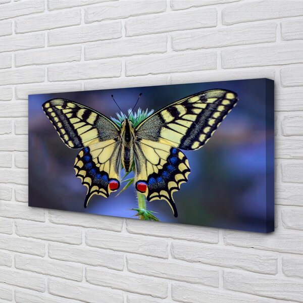 Tablouri canvas Fluture pe o floare