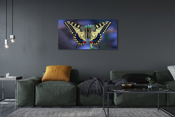 Tablouri canvas Fluture pe o floare