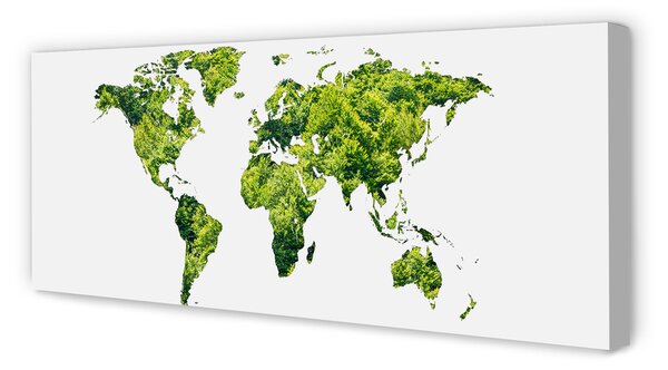 Tablouri canvas Harta de iarbă verde