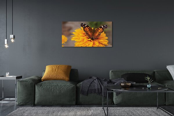 Tablouri canvas floare fluture colorat