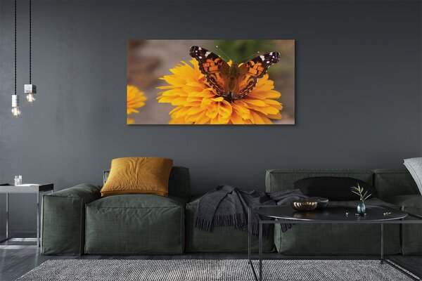 Tablouri canvas floare fluture colorat