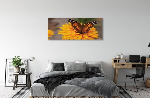 Tablouri canvas floare fluture colorat