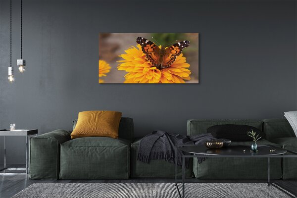 Tablouri canvas floare fluture colorat