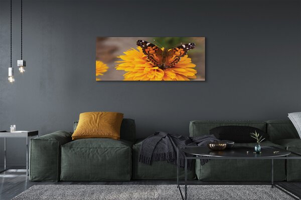 Tablouri canvas floare fluture colorat