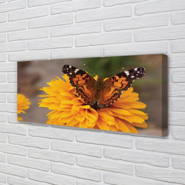 Tablouri canvas floare fluture colorat