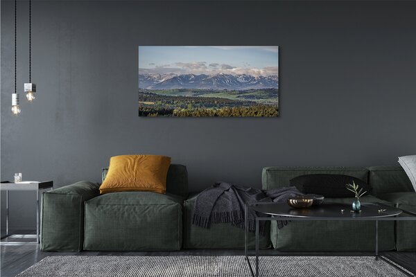 Tablouri canvas munţi
