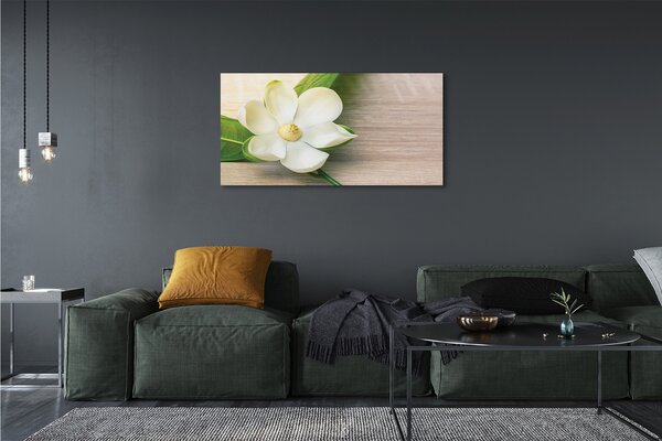 Tablouri canvas magnolie alb