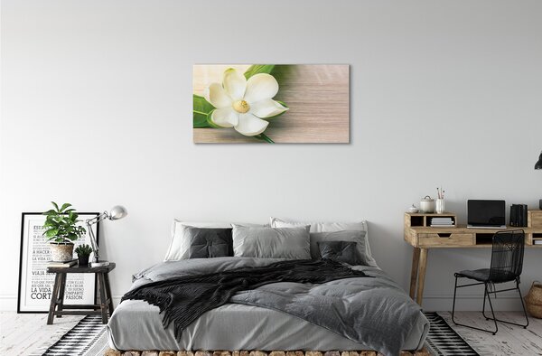Tablouri canvas magnolie alb