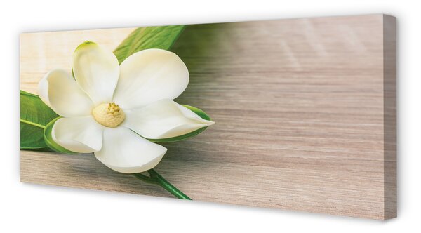 Tablouri canvas magnolie alb