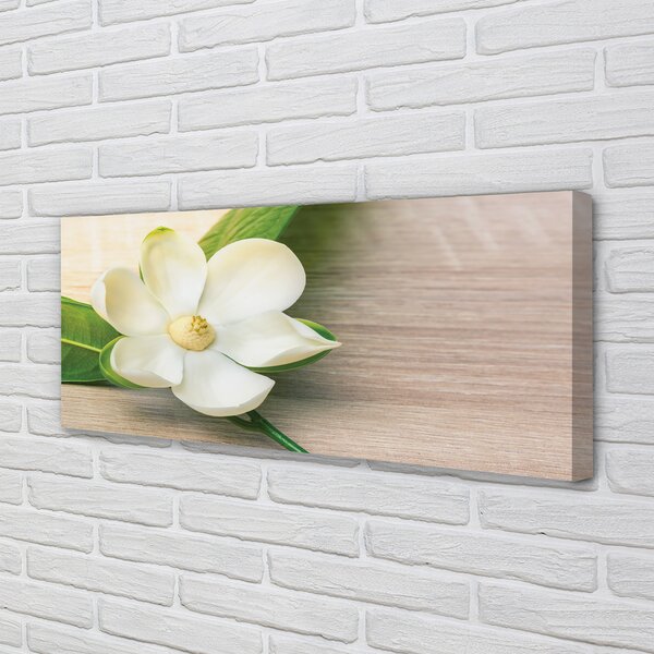 Tablouri canvas magnolie alb