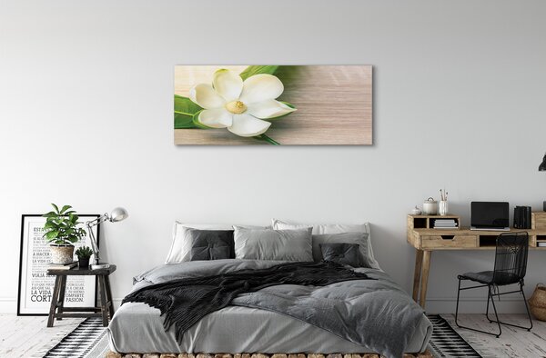 Tablouri canvas magnolie alb