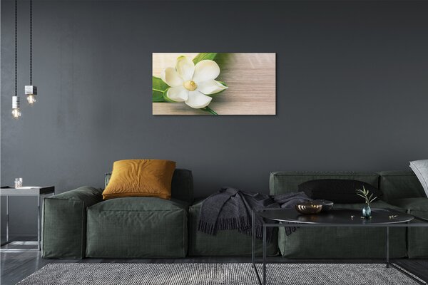 Tablouri canvas magnolie alb