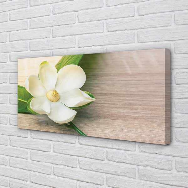 Tablouri canvas magnolie alb