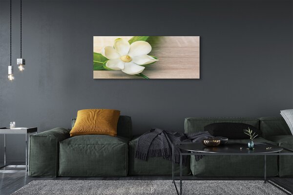 Tablouri canvas magnolie alb