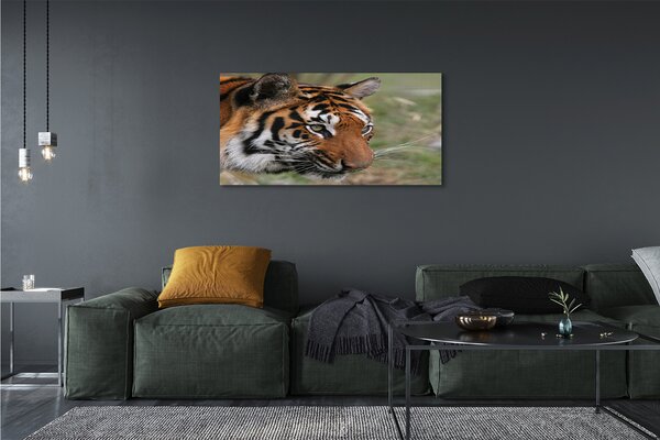Tablouri canvas Woods tigru