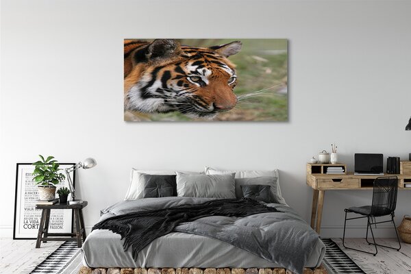 Tablouri canvas Woods tigru