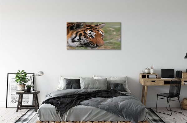Tablouri canvas Woods tigru