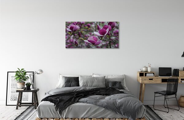 Tablouri canvas magnolie violet