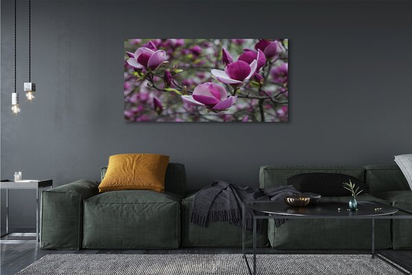 Tablouri canvas magnolie violet