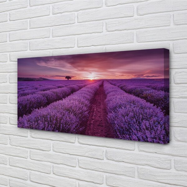 Tablouri canvas Heathers câmp