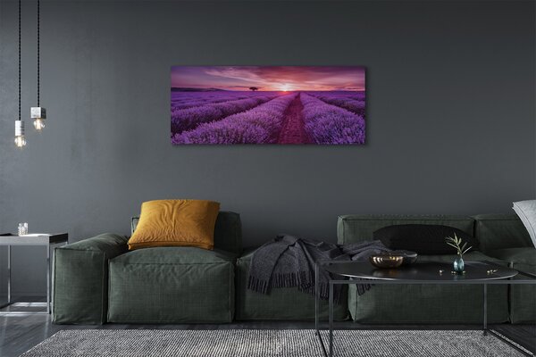 Tablouri canvas Heathers câmp
