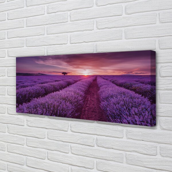 Tablouri canvas Heathers câmp