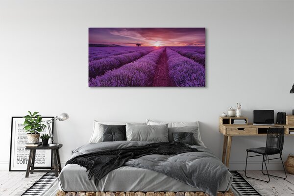 Tablouri canvas Heathers câmp