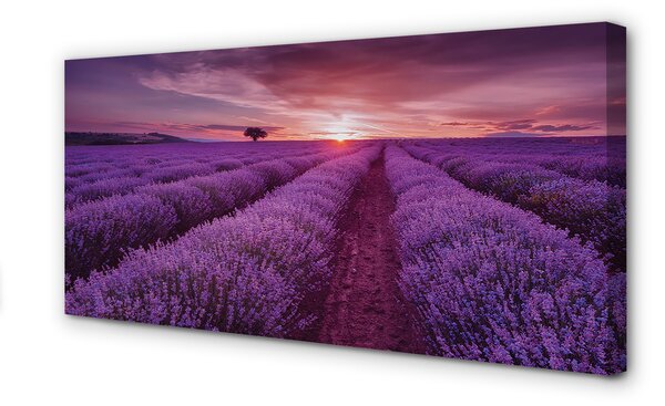 Tablouri canvas Heathers câmp