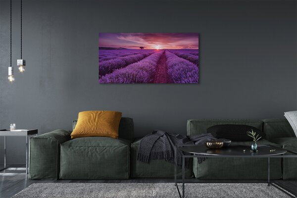 Tablouri canvas Heathers câmp