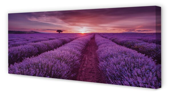 Tablouri canvas Heathers câmp
