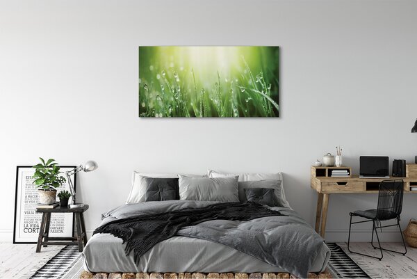 Tablouri canvas picături de soare iarbă