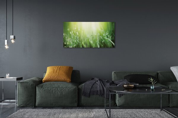 Tablouri canvas picături de soare iarbă