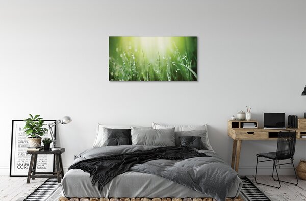 Tablouri canvas picături de soare iarbă