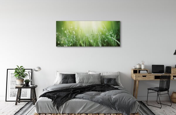 Tablouri canvas picături de soare iarbă