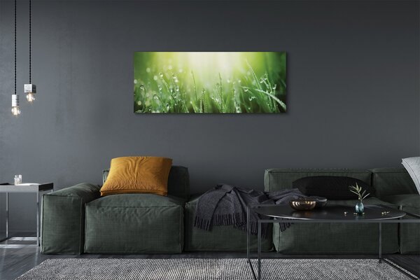 Tablouri canvas picături de soare iarbă