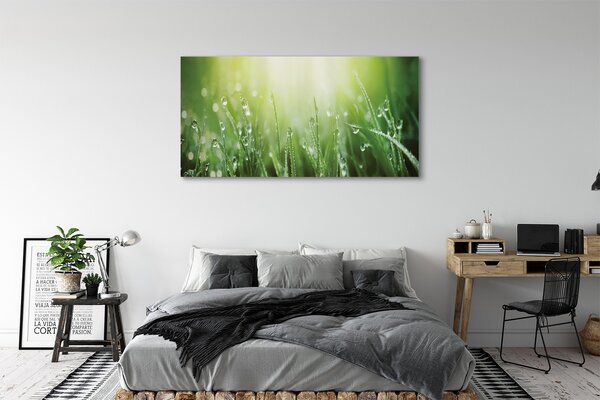 Tablouri canvas picături de soare iarbă