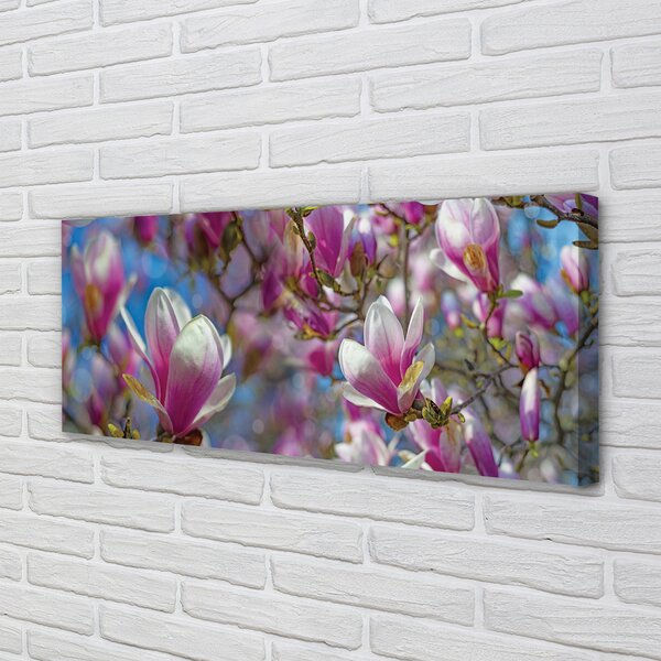 Tablouri canvas copac magnolie