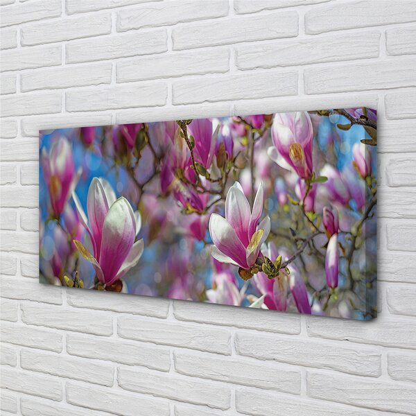 Tablouri canvas copac magnolie
