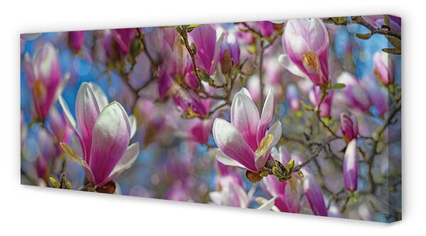 Tablouri canvas copac magnolie
