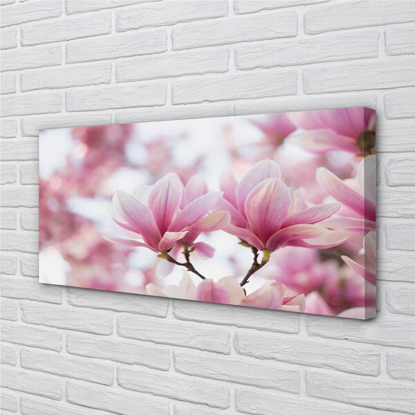 Tablouri canvas copac magnolie