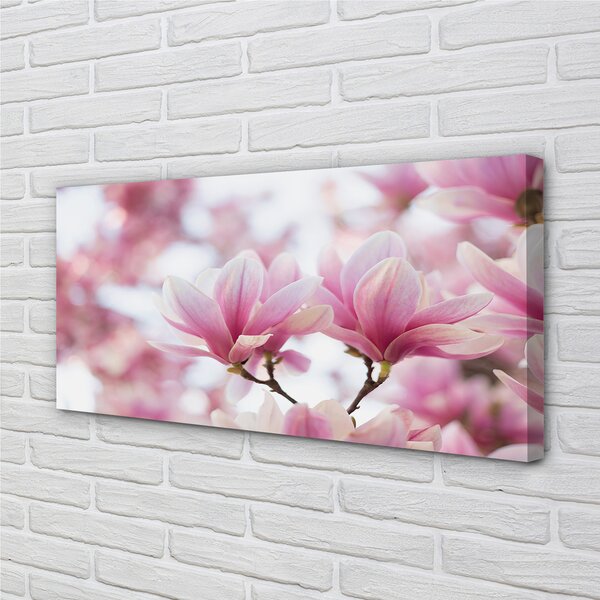 Tablouri canvas copac magnolie