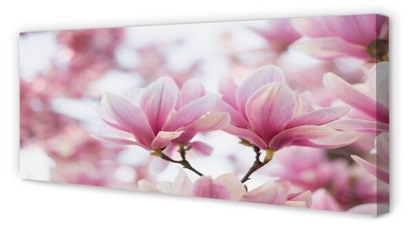 Tablouri canvas copac magnolie