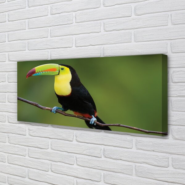 Tablouri canvas papagal colorat de pe o ramură