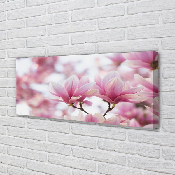 Tablouri canvas copac magnolie