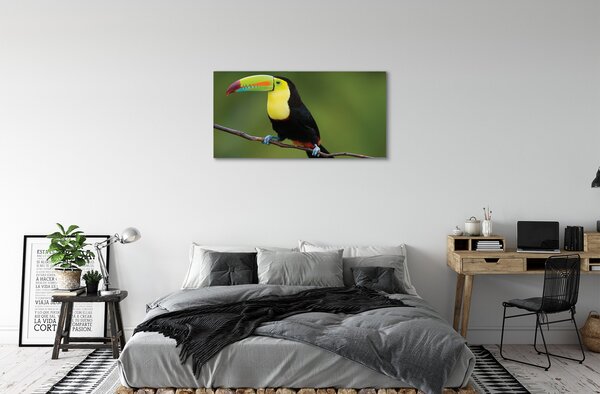 Tablouri canvas papagal colorat de pe o ramură