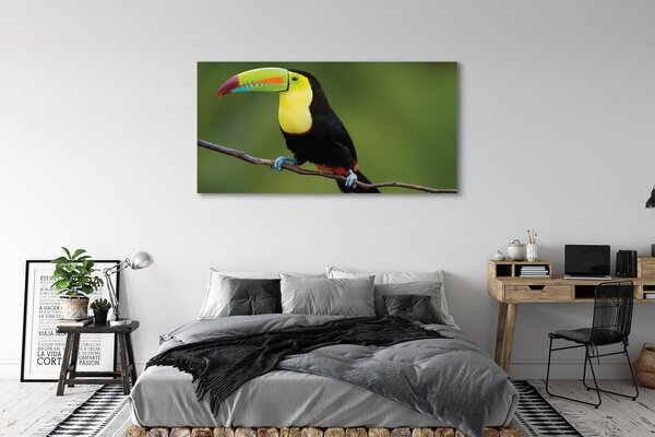 Tablouri canvas papagal colorat de pe o ramură