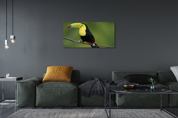 Tablouri canvas papagal colorat de pe o ramură
